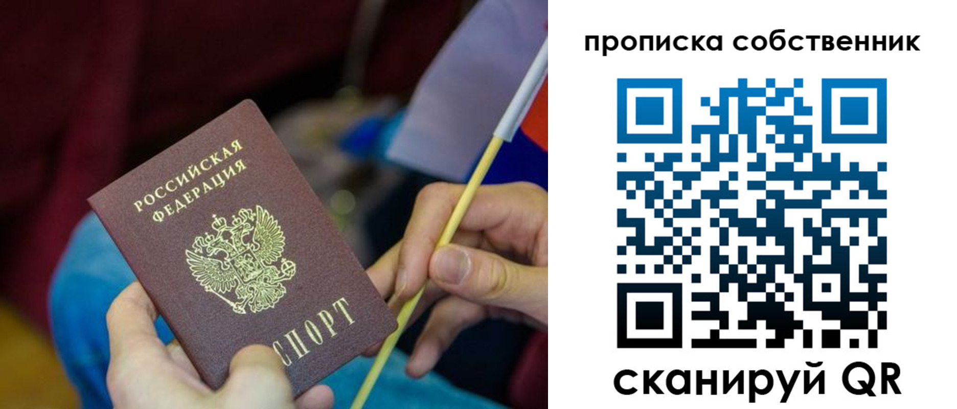 прописка в Порхове